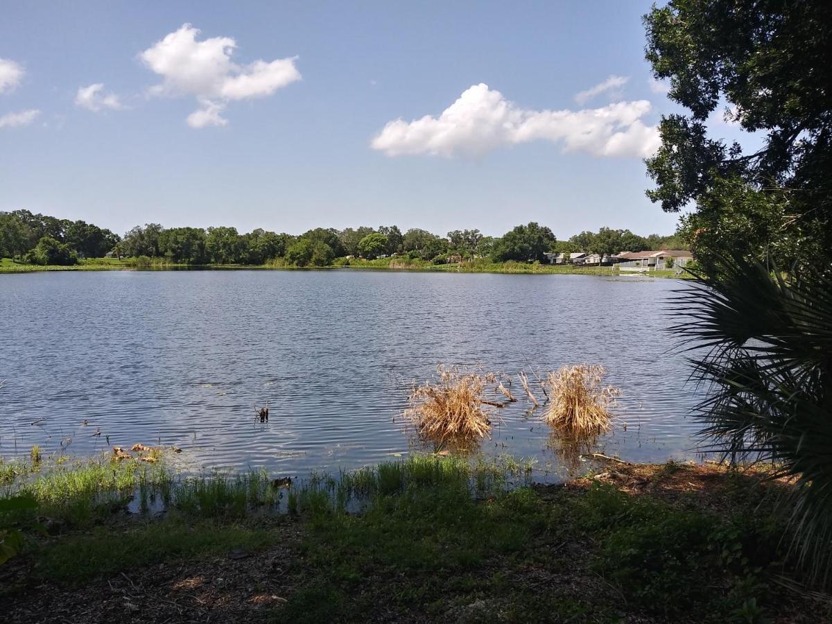 Tampa Citrus Park Exterior foto